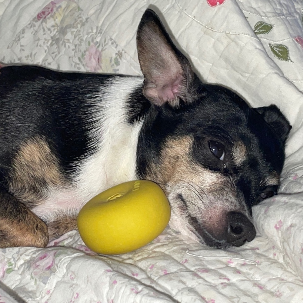 Meet your Posher, Jenny